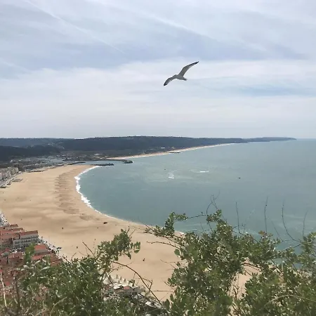Duplex Daire Nazaré