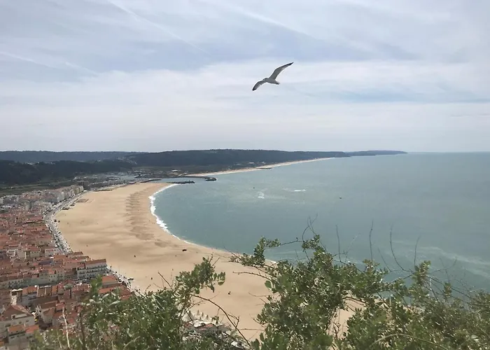 Duplex Appartement Nazaré